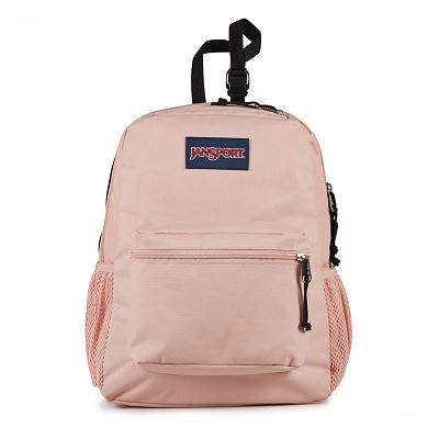 JanSport CENTRAL ADAPTIVE Laptop Backpacks Rose | AU_JS530