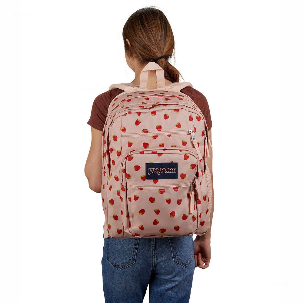 JanSport BIG STUDENT Laptop Backpacks Rose / Red | AU_JS161