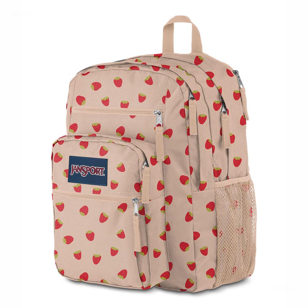 JanSport BIG STUDENT Laptop Backpacks Rose / Red | AU_JS161