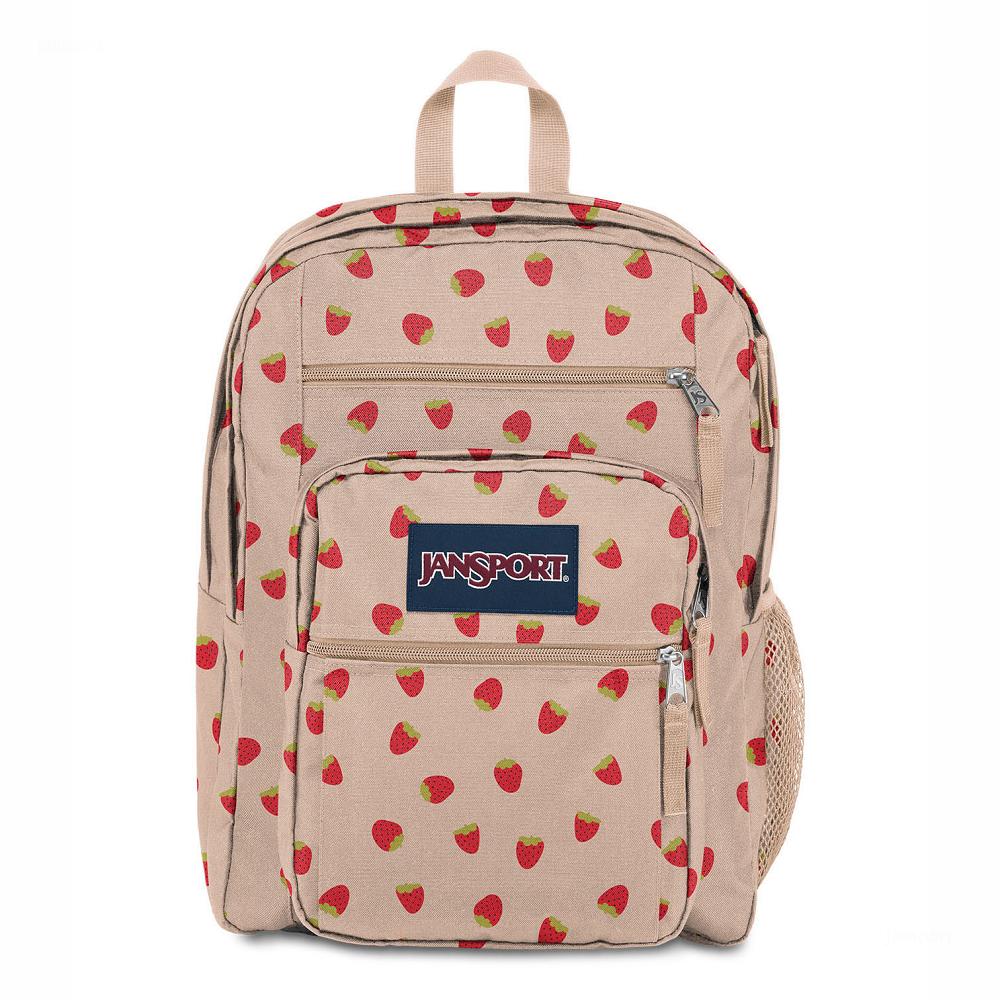 JanSport BIG STUDENT Laptop Backpacks Rose / Red | AU_JS161