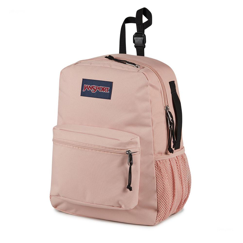 JanSport CENTRAL ADAPTIVE School Backpacks Rose | AU_JS146