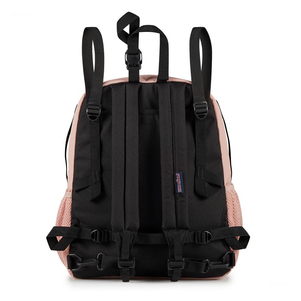 JanSport CENTRAL ADAPTIVE School Backpacks Rose | AU_JS146