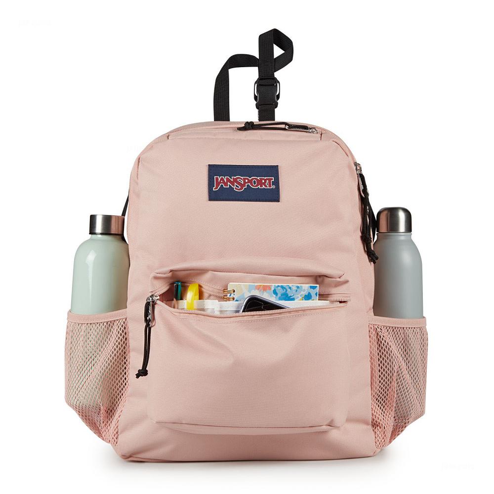 JanSport CENTRAL ADAPTIVE School Backpacks Rose | AU_JS146