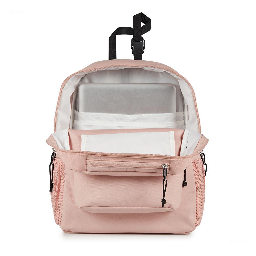 JanSport CENTRAL ADAPTIVE School Backpacks Rose | AU_JS146