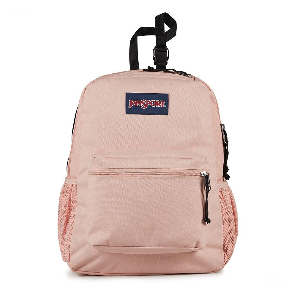 JanSport CENTRAL ADAPTIVE School Backpacks Rose | AU_JS146