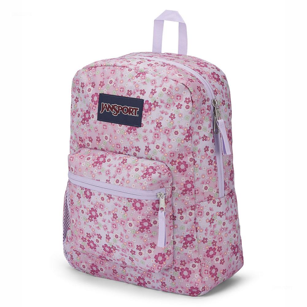 JanSport CROSS TOWN School Backpacks Pink | AU_JS282