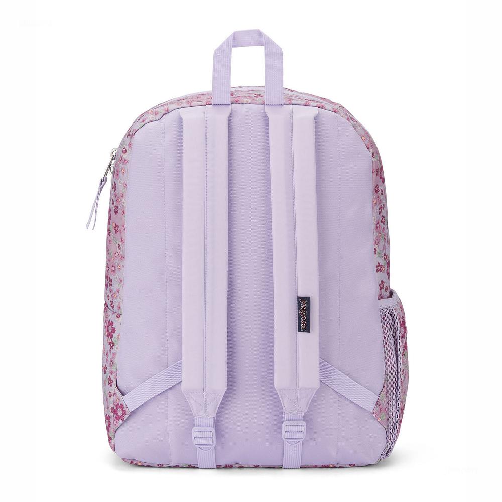 JanSport CROSS TOWN School Backpacks Pink | AU_JS282