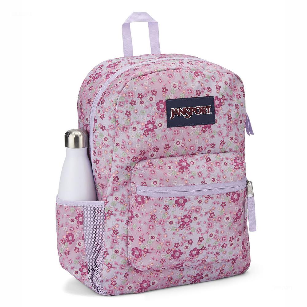 JanSport CROSS TOWN School Backpacks Pink | AU_JS282