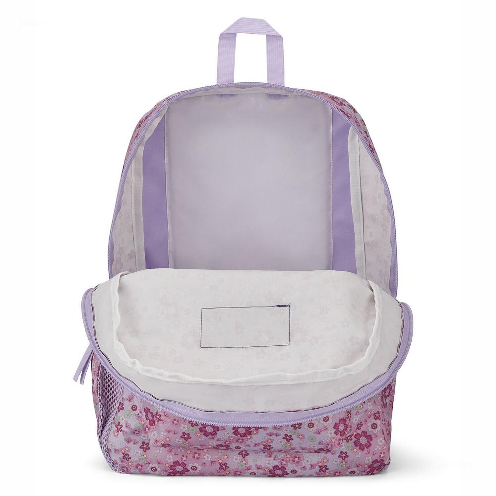 JanSport CROSS TOWN School Backpacks Pink | AU_JS282