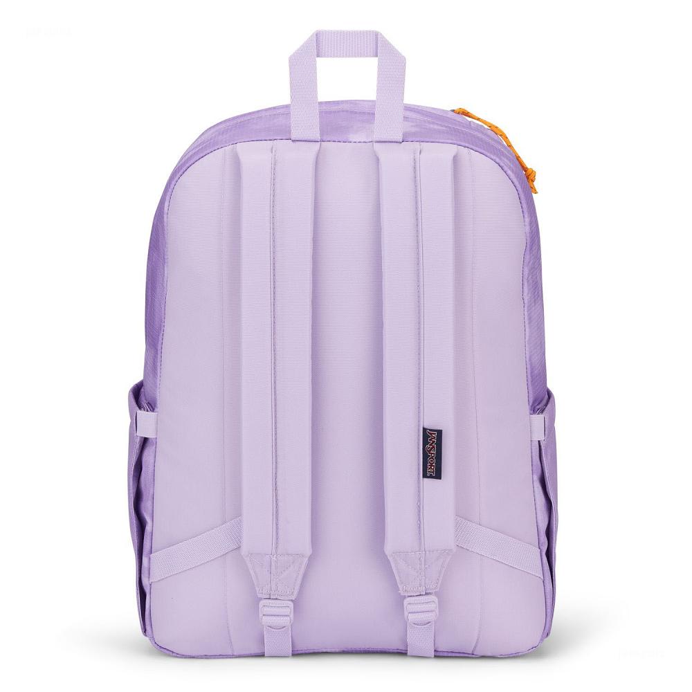 JanSport Double Break Laptop Backpacks Purple | AU_JS19B