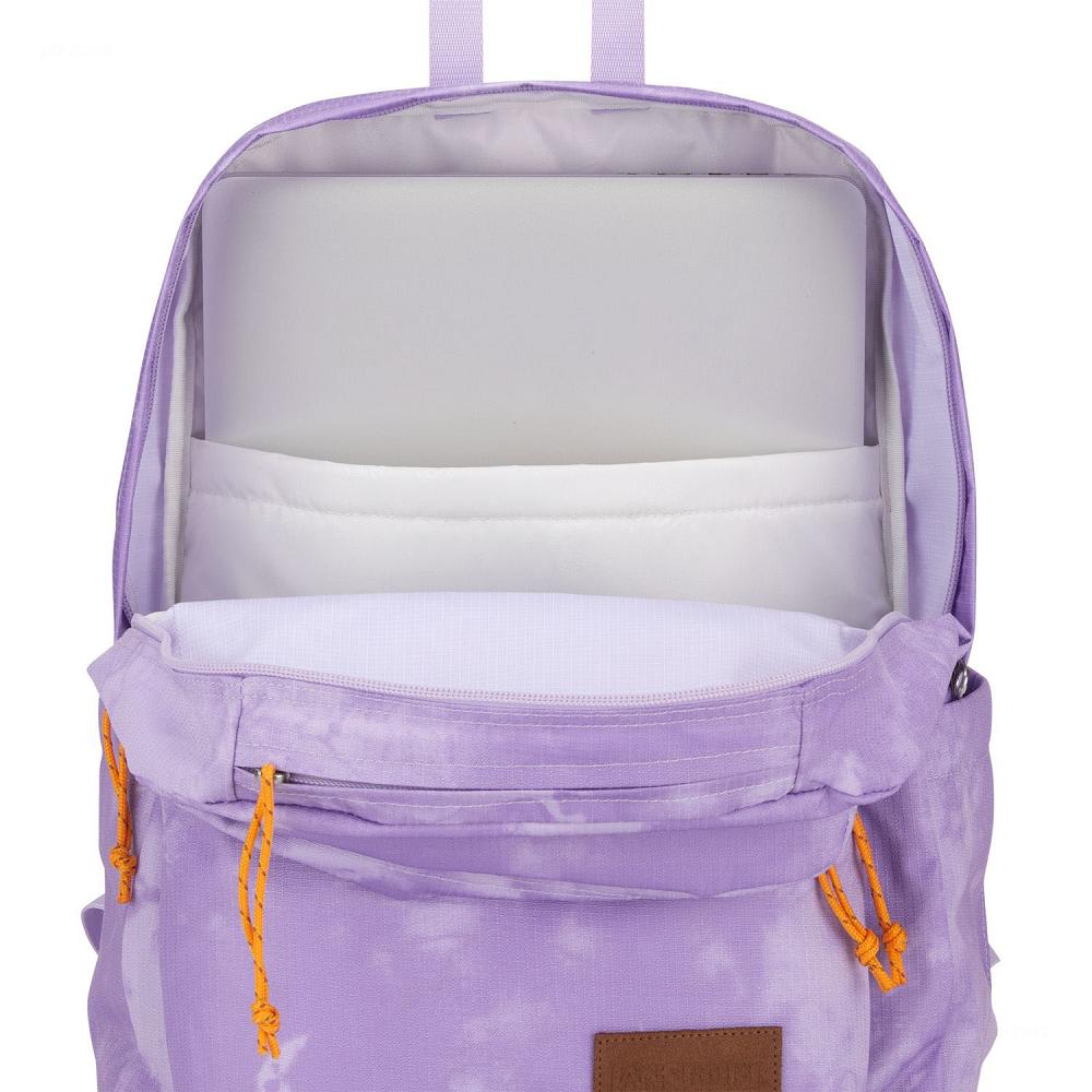 JanSport Double Break Laptop Backpacks Purple | AU_JS19B