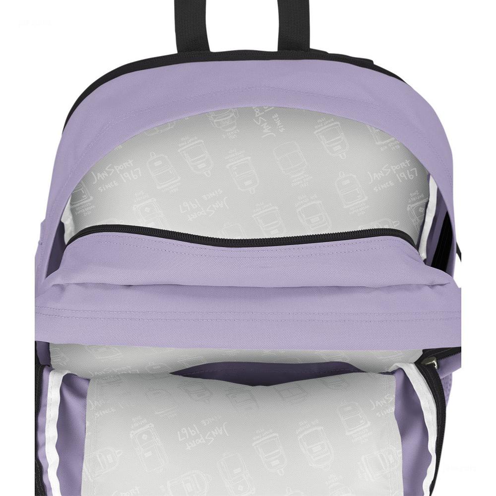 JanSport Main Campus Laptop Backpacks Purple | AU_JS010