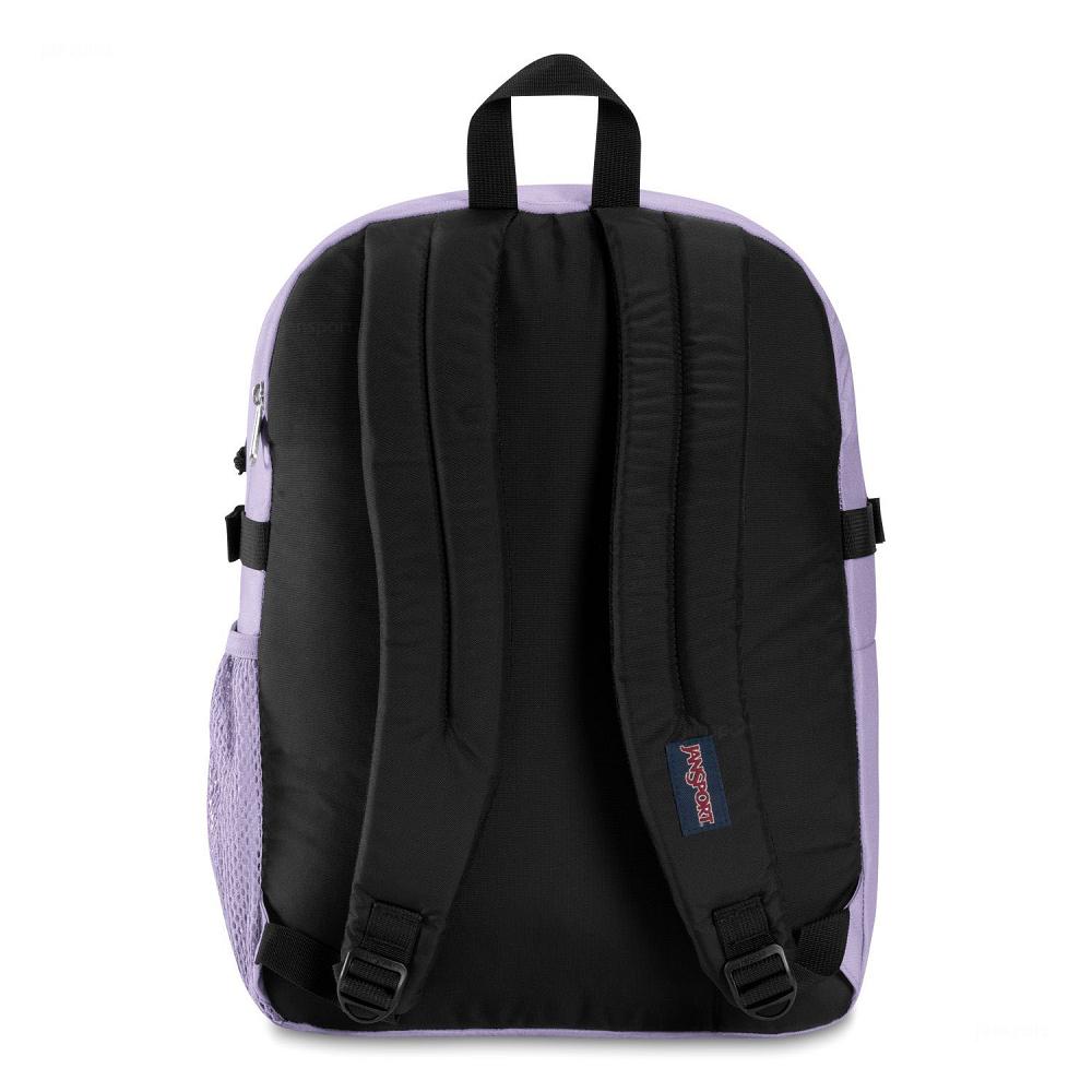 JanSport Main Campus Laptop Backpacks Purple | AU_JS010