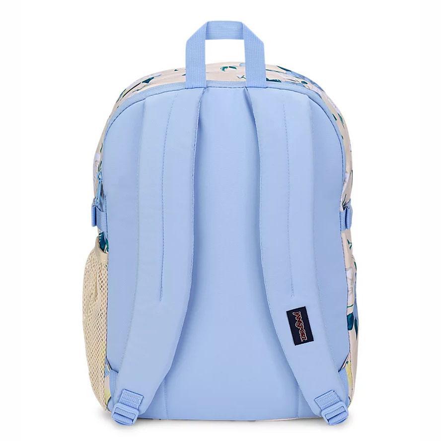 JanSport Main Campus School Backpacks Blue / Yellow | AU_JS019