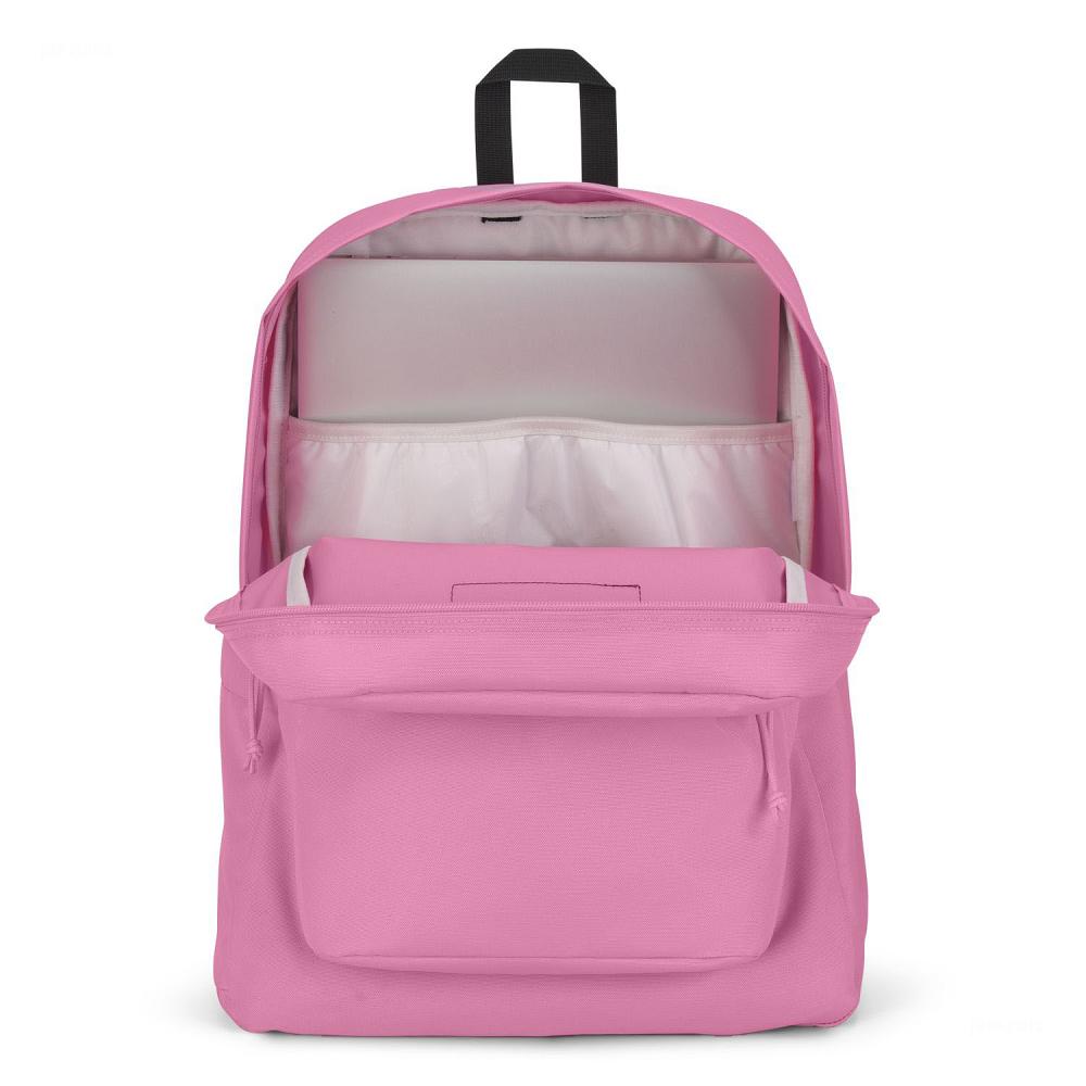 JanSport SuperBreak® Plus Laptop Backpacks Pink | AU_JS058