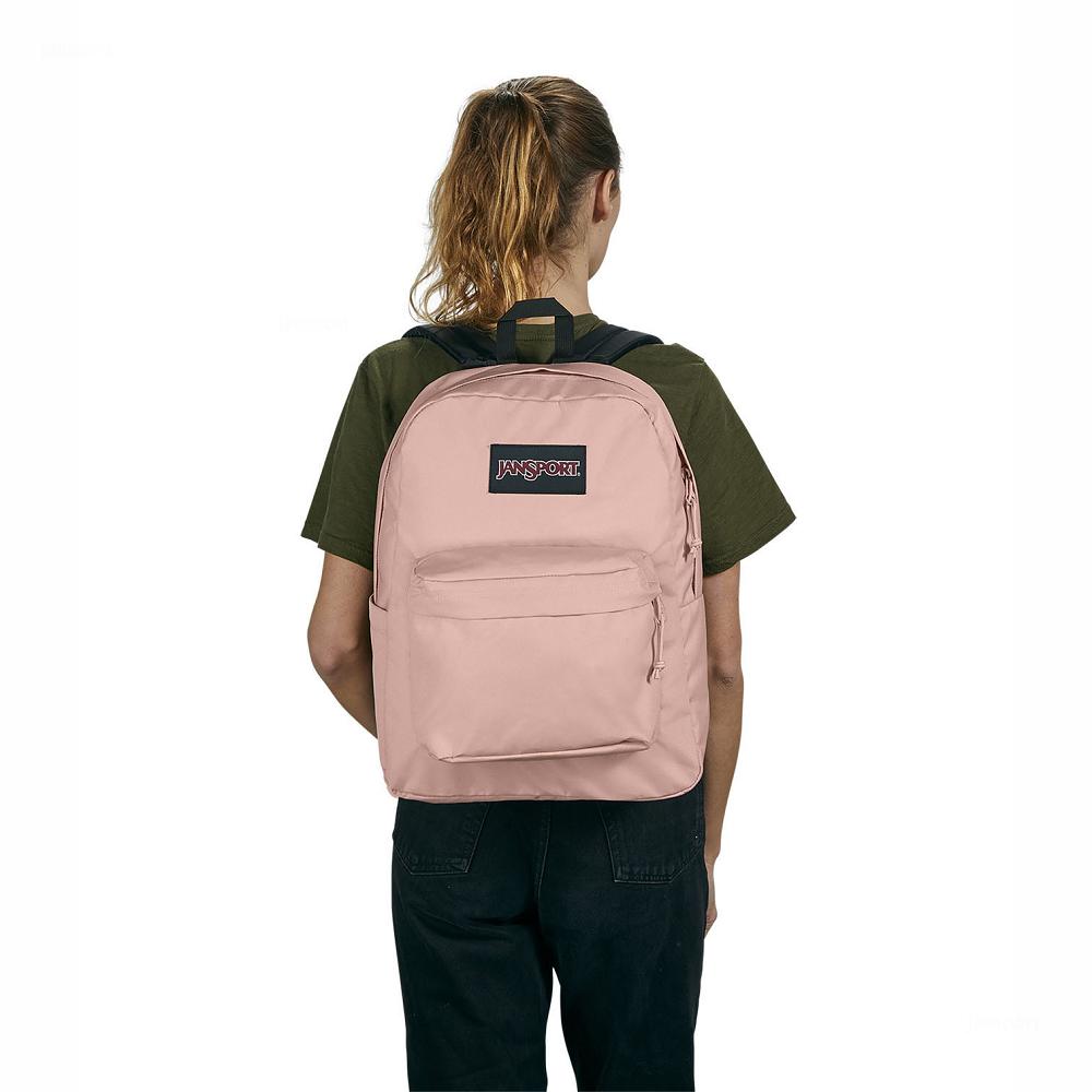 JanSport SuperBreak® Plus Laptop Backpacks Rose | AU_JS573