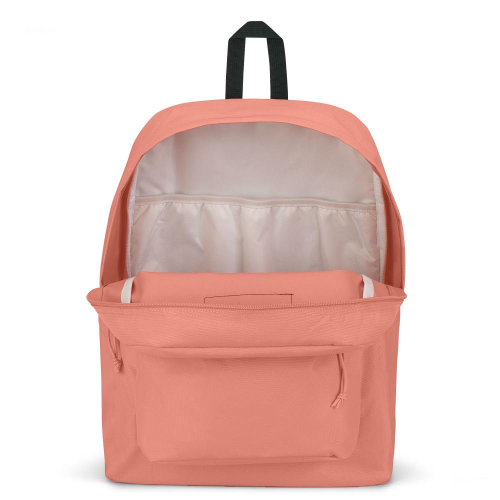 JanSport SuperBreak® Plus School Backpacks Rose | AU_JS133