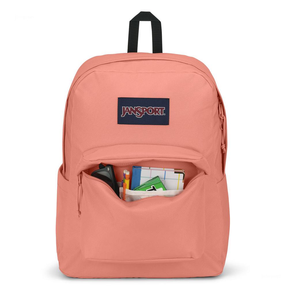 JanSport SuperBreak® Plus School Backpacks Rose | AU_JS133