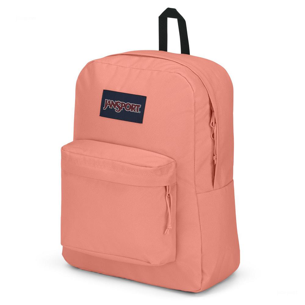 JanSport SuperBreak® Plus School Backpacks Rose | AU_JS133