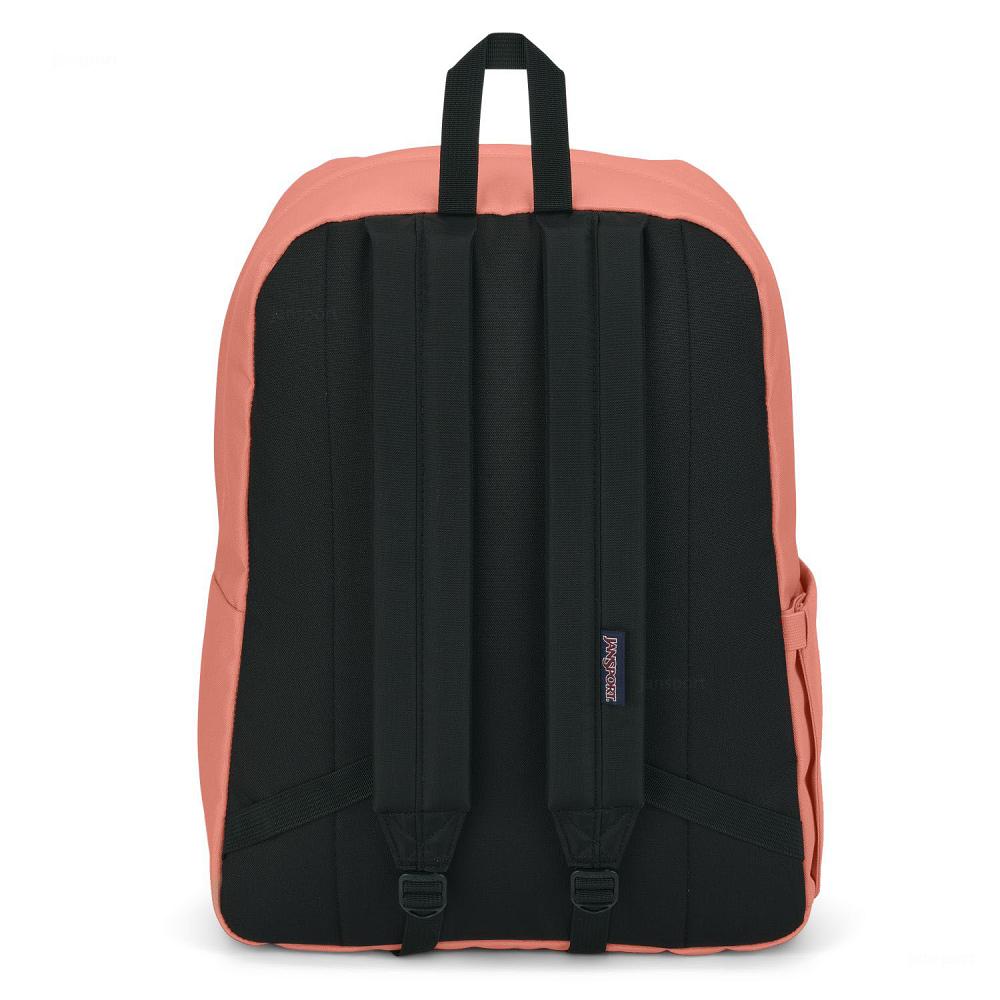 JanSport SuperBreak® Plus School Backpacks Rose | AU_JS133