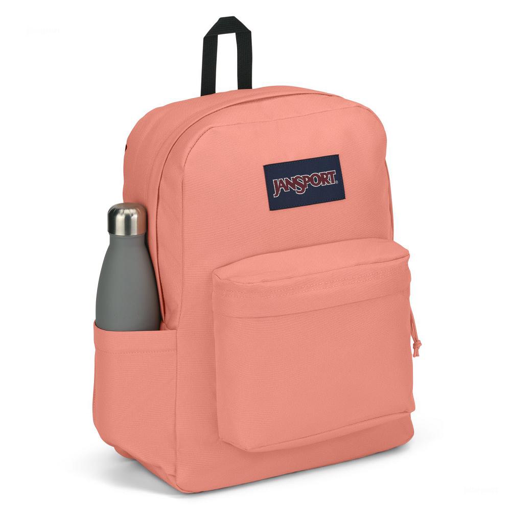 JanSport SuperBreak® Plus School Backpacks Rose | AU_JS133