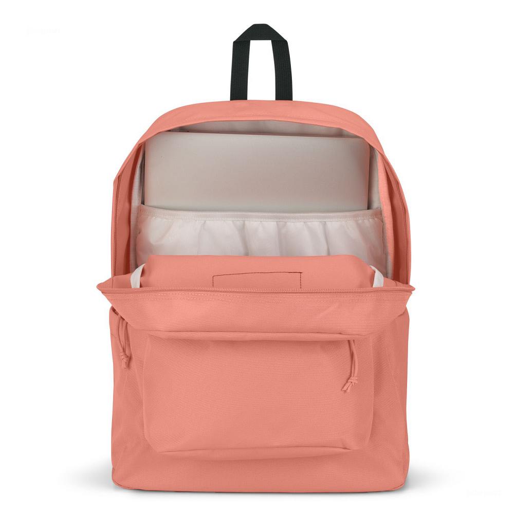 JanSport SuperBreak® Plus School Backpacks Rose | AU_JS133