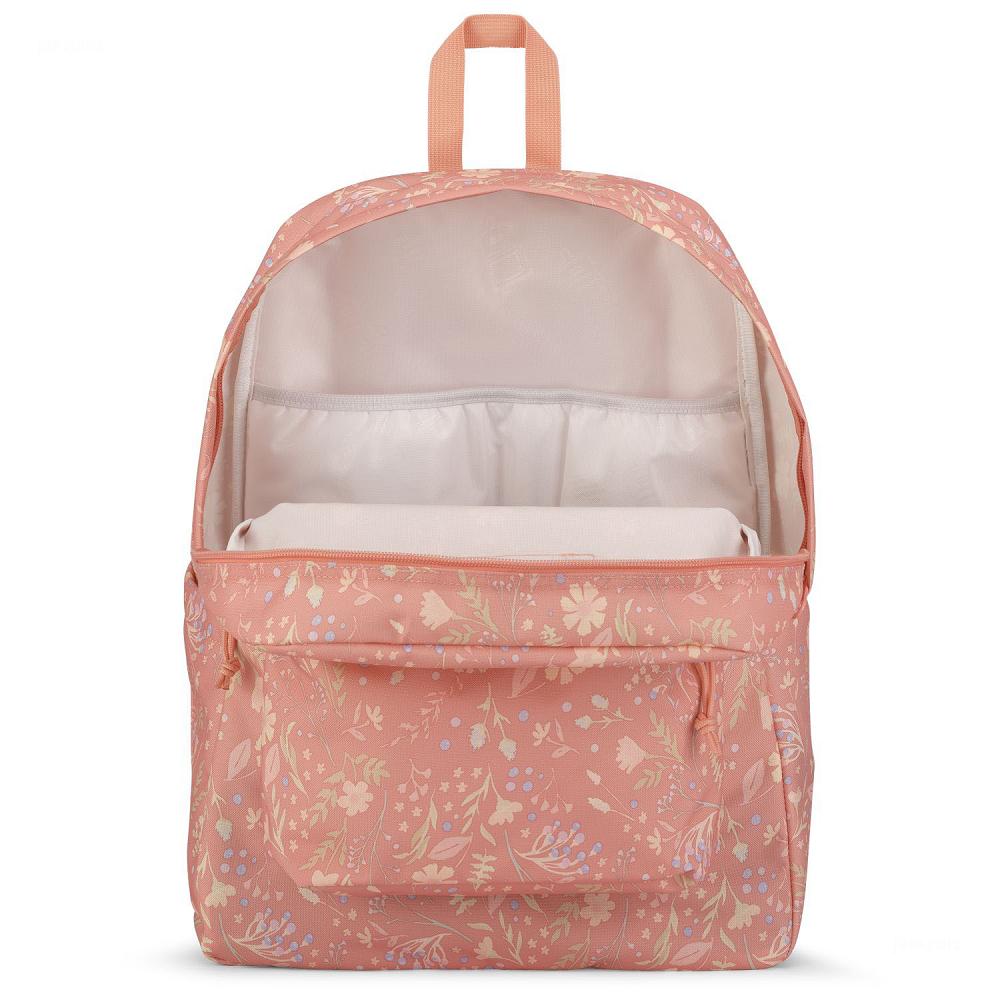 JanSport SuperBreak® Plus School Backpacks Rose | AU_JS379