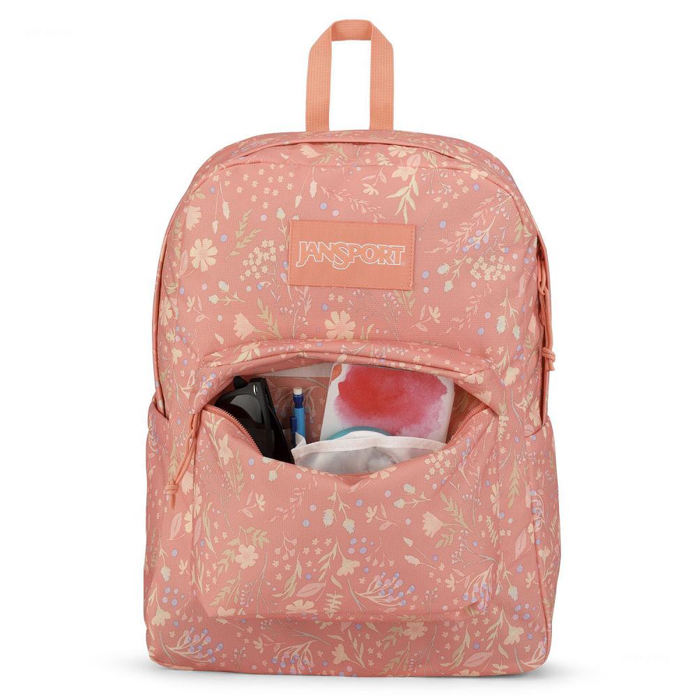 JanSport SuperBreak® Plus School Backpacks Rose | AU_JS379