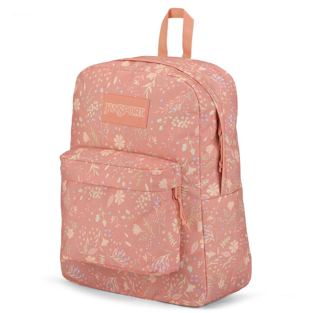 JanSport SuperBreak® Plus School Backpacks Rose | AU_JS379