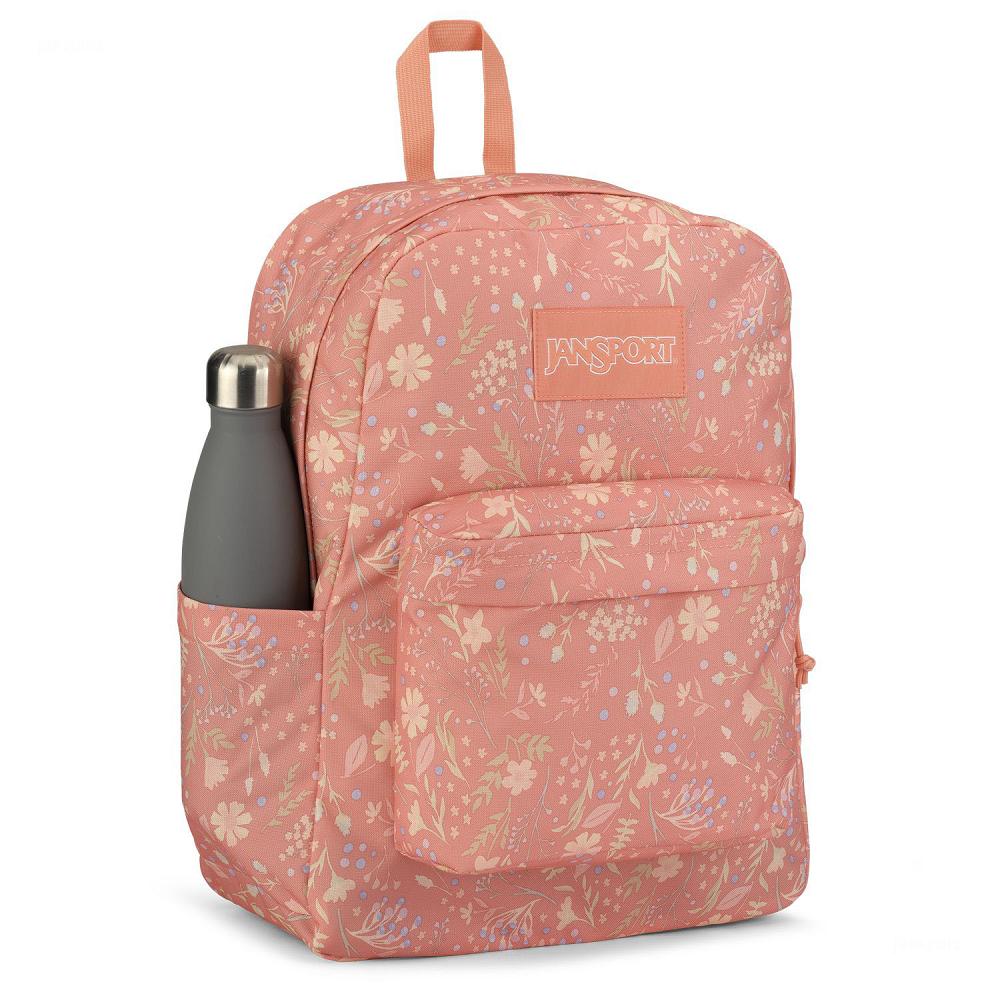 JanSport SuperBreak® Plus School Backpacks Rose | AU_JS379