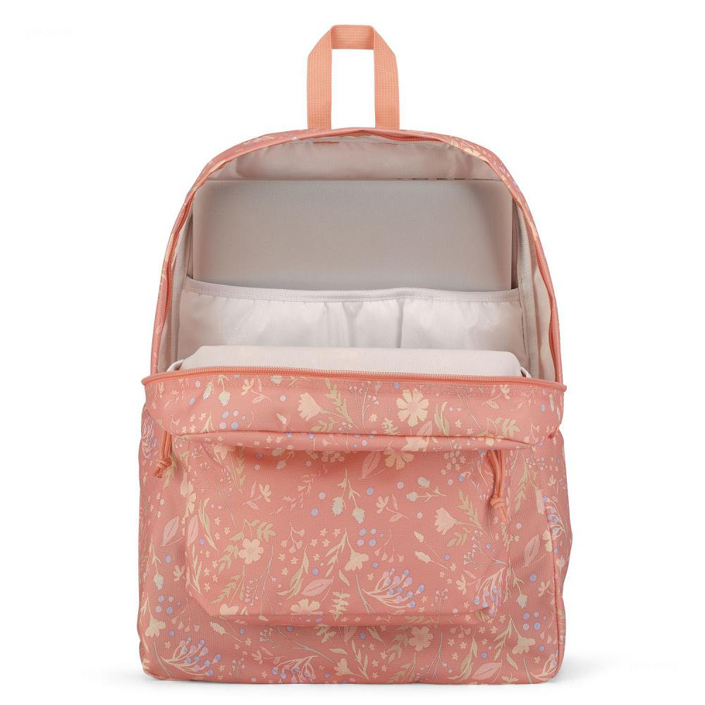 JanSport SuperBreak® Plus School Backpacks Rose | AU_JS379