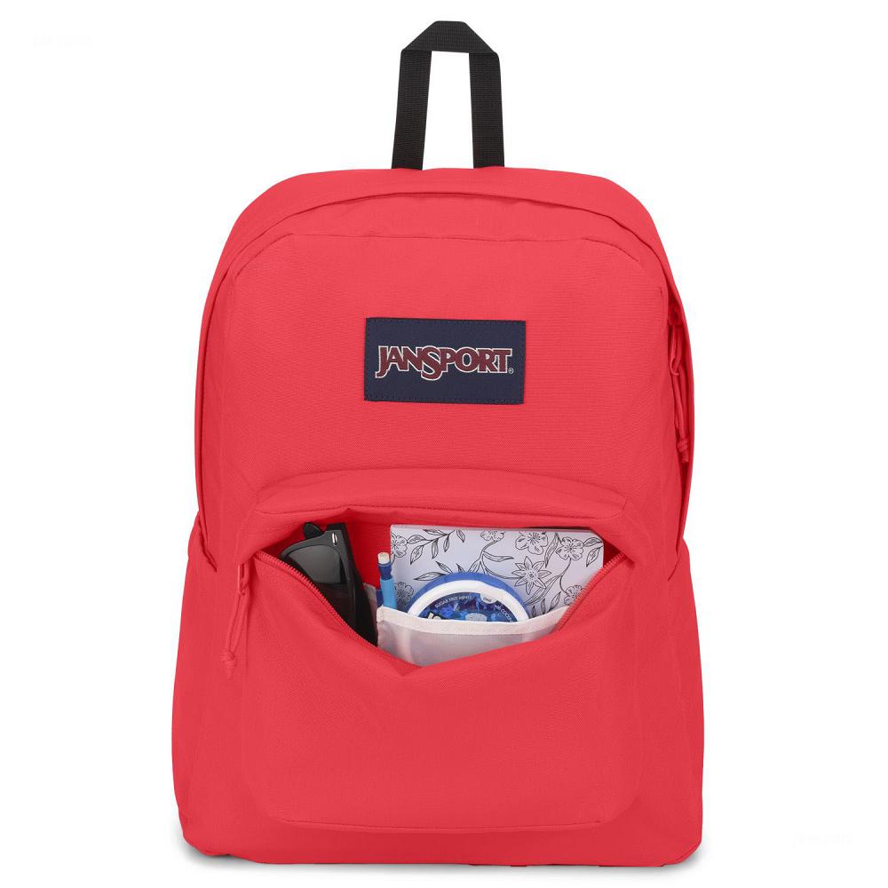 JanSport SuperBreak® Plus School Backpacks Pink | AU_JS508