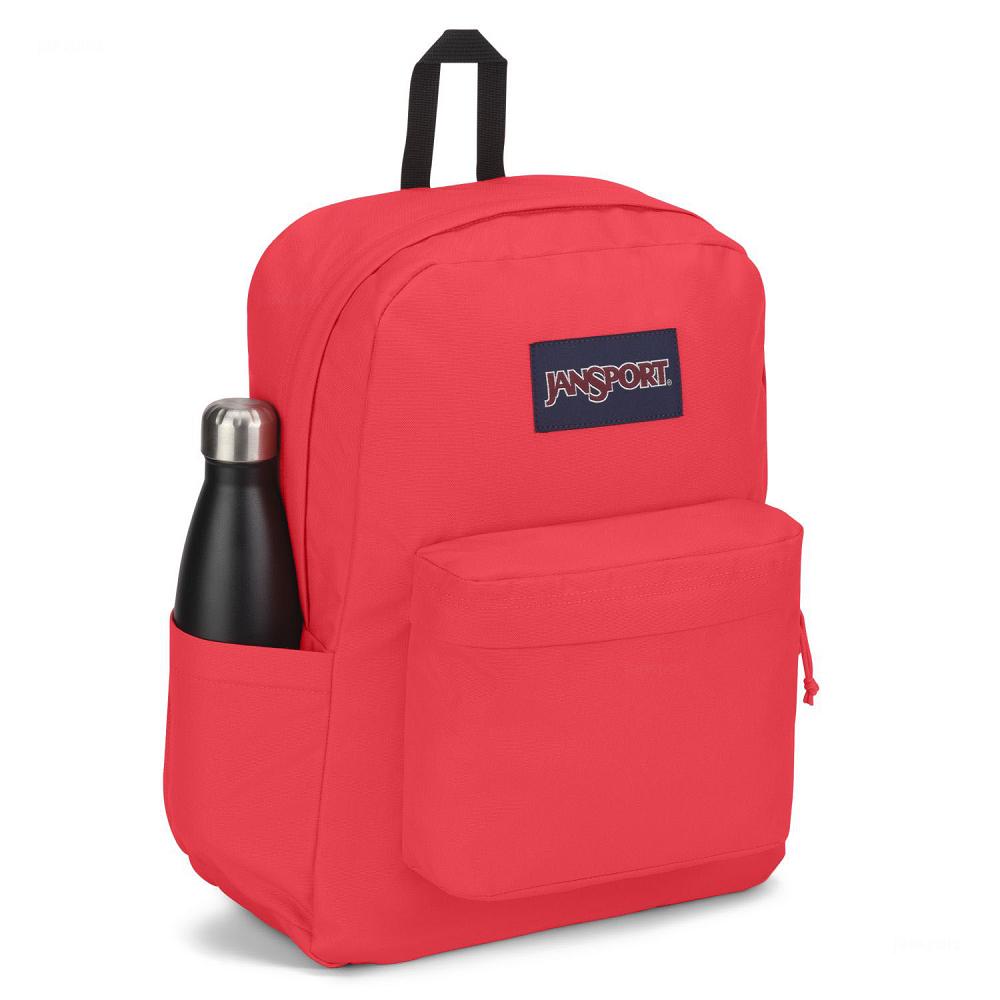 JanSport SuperBreak® Plus School Backpacks Pink | AU_JS508