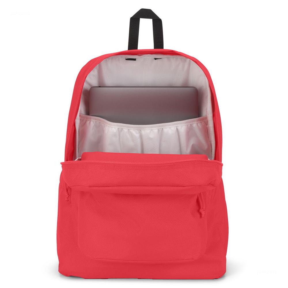 JanSport SuperBreak® Plus School Backpacks Pink | AU_JS508