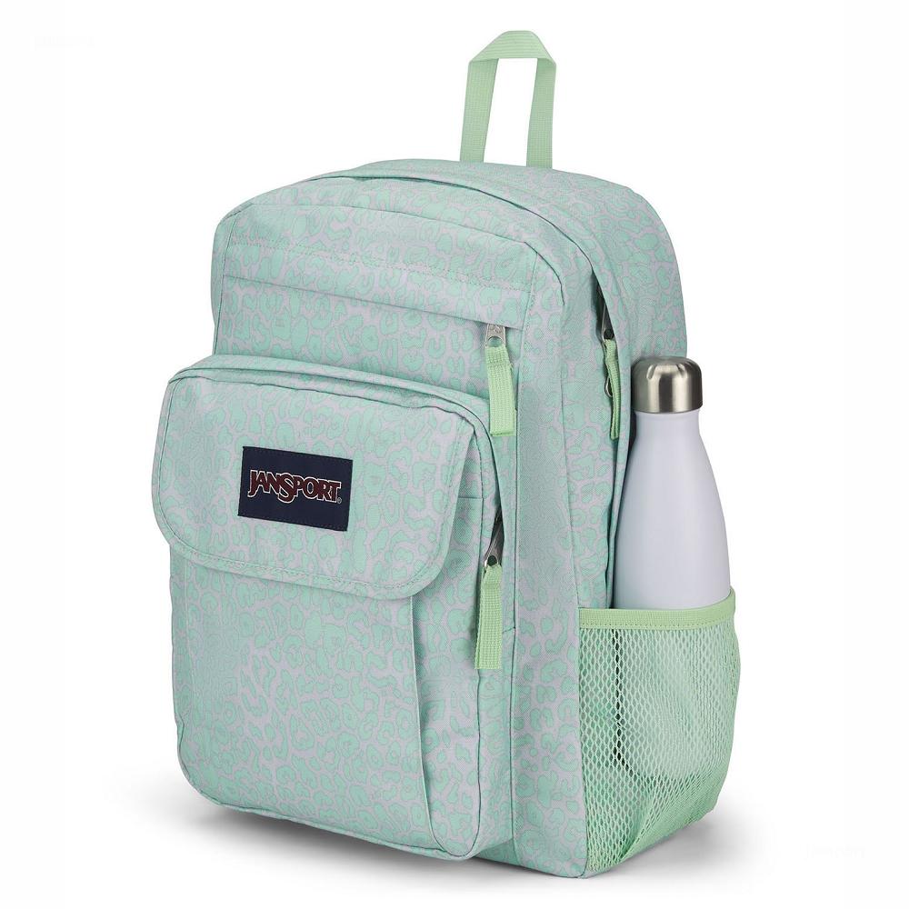 JanSport UNION PACK Laptop Backpacks Green | AU_JS021