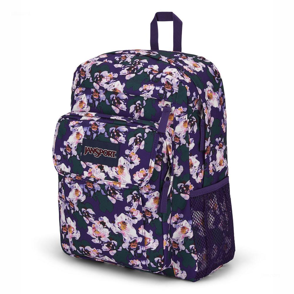 JanSport UNION PACK Laptop Backpacks Purple | AU_JS564