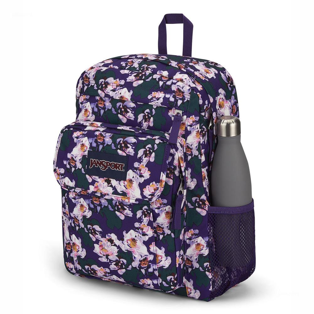 JanSport UNION PACK Laptop Backpacks Purple | AU_JS564